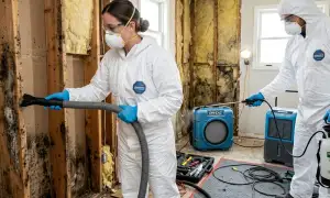 Mold remediation services in Billings, MT for water damage cleanup and home restoration